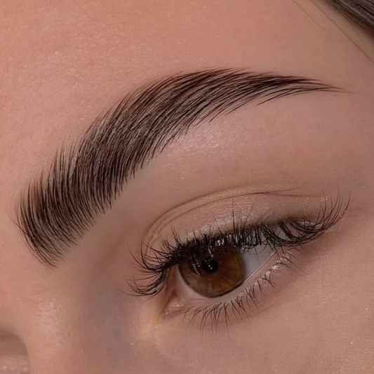 Close-up of an eye with well-groomed eyebrow and false eyelashes.